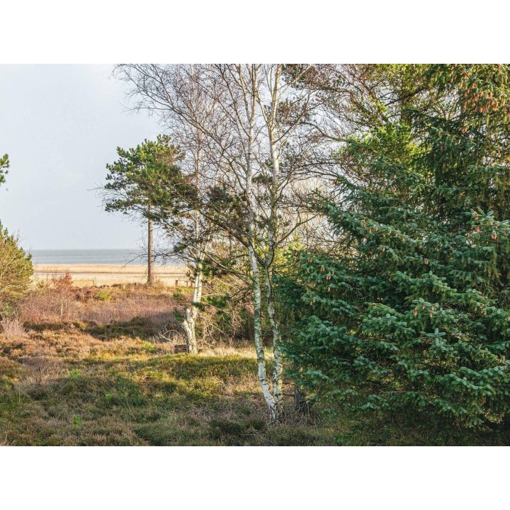 Ferienhaus in Rømø ab 33€ pro Nacht