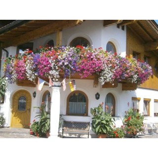 Ferienwohnung in Pinzgau ab 53€ pro Nacht