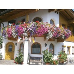 Ferienwohnung in Pinzgau ab 53€ pro Nacht