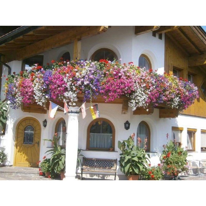 Ferienwohnung in Pinzgau ab 53€ pro Nacht