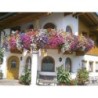 Ferienwohnung in Pinzgau ab 53€ pro Nacht