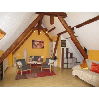 Ferienwohnung in Hegau ab 50€ pro Nacht