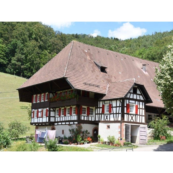 Ferienhaus in Oberrhein ab 53€ pro Nacht