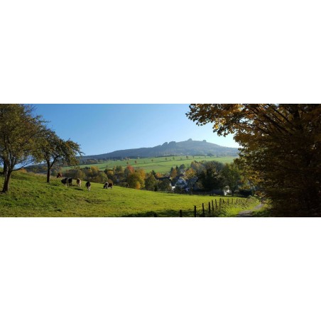 Wandern im Rothaargebirge im Sauerland