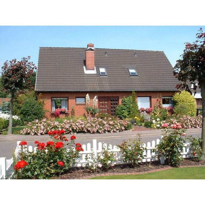 Ferienwohnung in Büsum ab 53€ pro Nacht