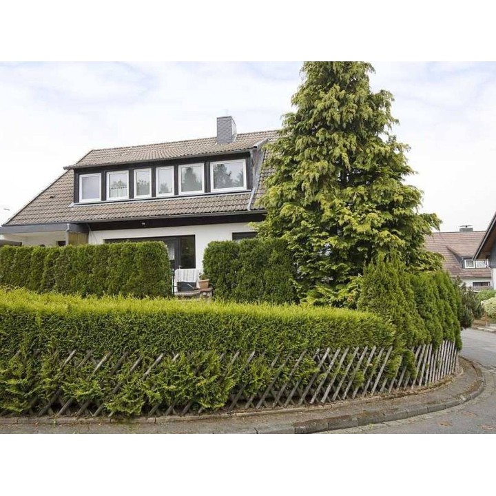 Ferienwohnung in Harz ab 54€ pro Nacht