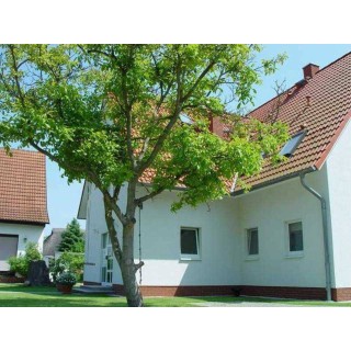 Ferienwohnung in Vorpommern ab 46€ pro Nacht