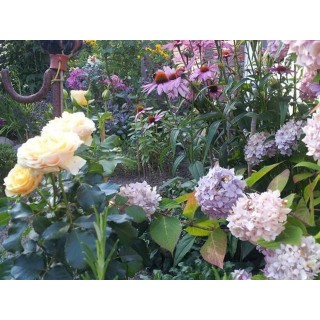 Ferienwohnung in Bosau ab 59€ pro Nacht