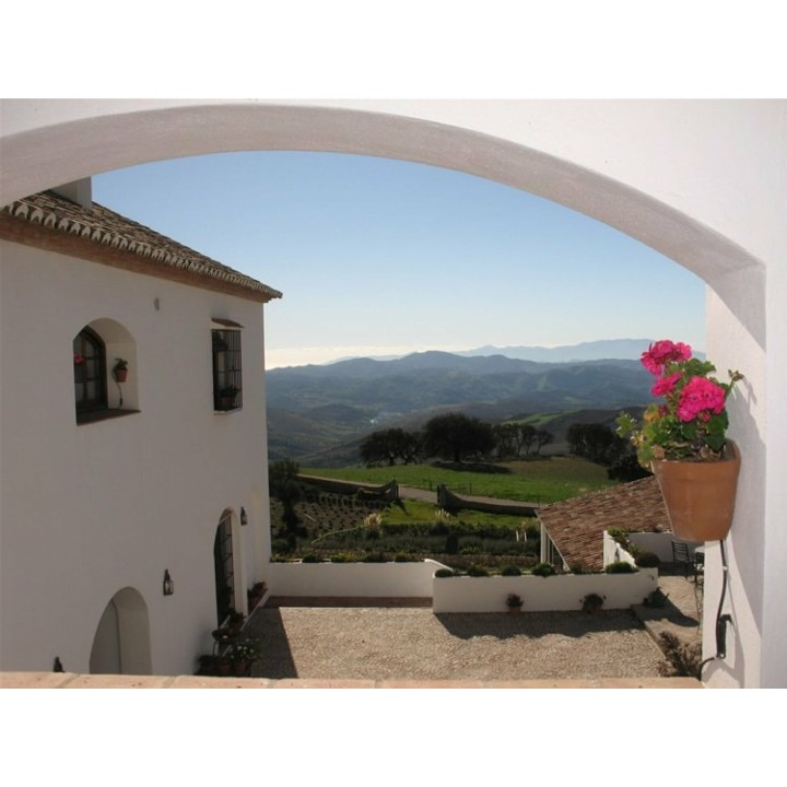 Spanien Pur: Die Welt des Weins