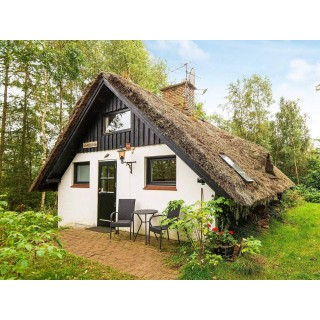 Ferienhaus in Ikast-Brande ab 49€ pro Nacht