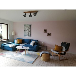 Ferienwohnung in Westharz ab 38€ pro Nacht