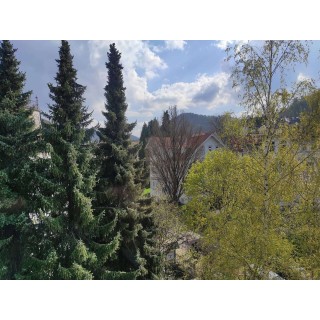 Ferienwohnung in Harz ab 37€ pro Nacht