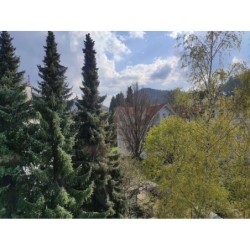 Ferienwohnung in Harz ab 37€ pro Nacht