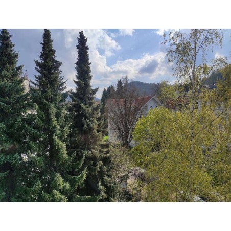 Ferienwohnung in Harz ab 37€ pro Nacht