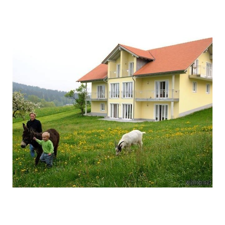 Ferienhaus in Ostbayern ab 55€ pro Nacht