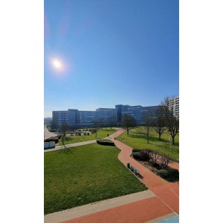 Ferienwohnung in Ostholstein ab 50€ pro Nacht