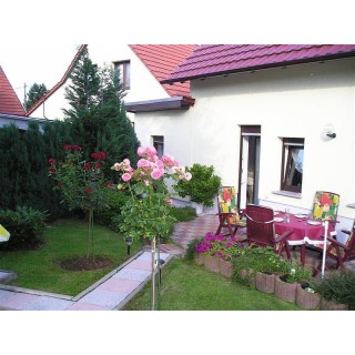 Ferienwohnung in Rennsteig ab 50€ pro Nacht