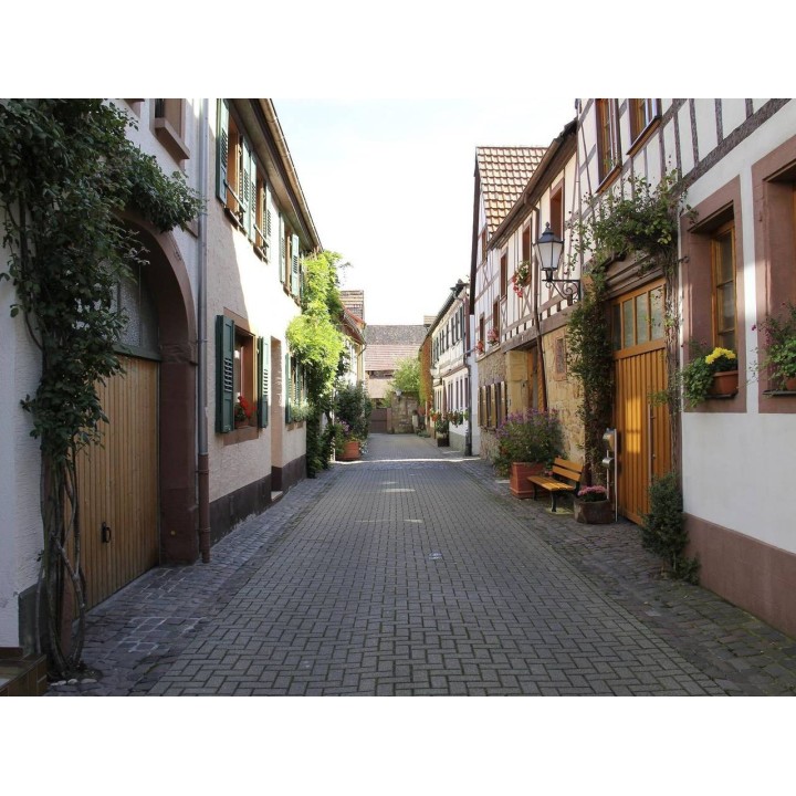 Ferienwohnung in Pfalz ab 46€ pro Nacht