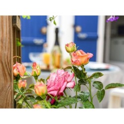 Ferienhaus in Pornic ab 54€ pro Nacht