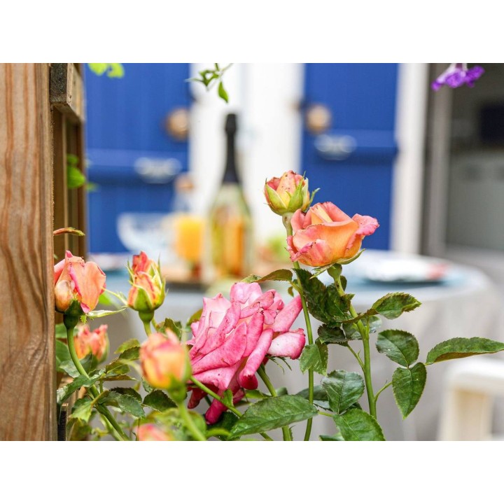 Ferienhaus in Pornic ab 54€ pro Nacht