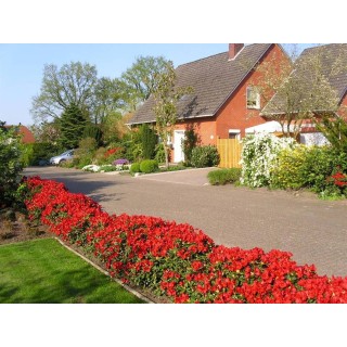 Ferienwohnung in Ammerland ab 43€ pro Nacht