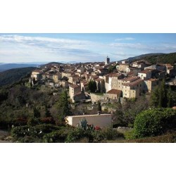 Ferienhaus in Var ab 59€ pro Nacht