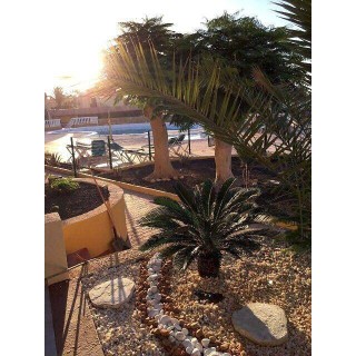 Ferienhaus in Pájara ab 58€ pro Nacht