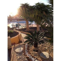 Ferienhaus in Pájara ab 58€ pro Nacht