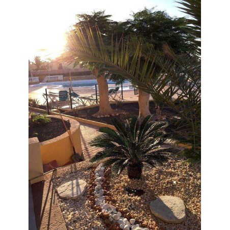 Ferienhaus in Pájara ab 58€ pro Nacht