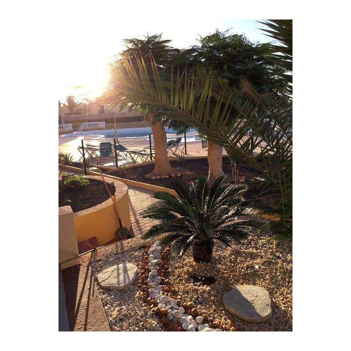 Ferienhaus in Pájara ab 58€ pro Nacht