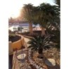 Ferienhaus in Pájara ab 58€ pro Nacht