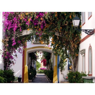 Ferienwohnung in Mogán ab 53€ pro Nacht