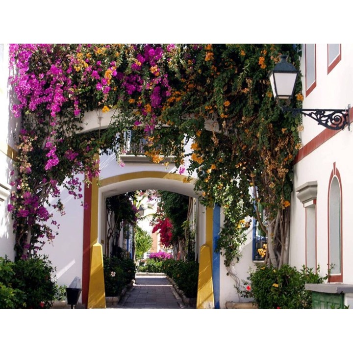 Ferienwohnung in Mogán ab 53€ pro Nacht