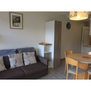 Ferienwohnung in Châtel ab 49€ pro Nacht