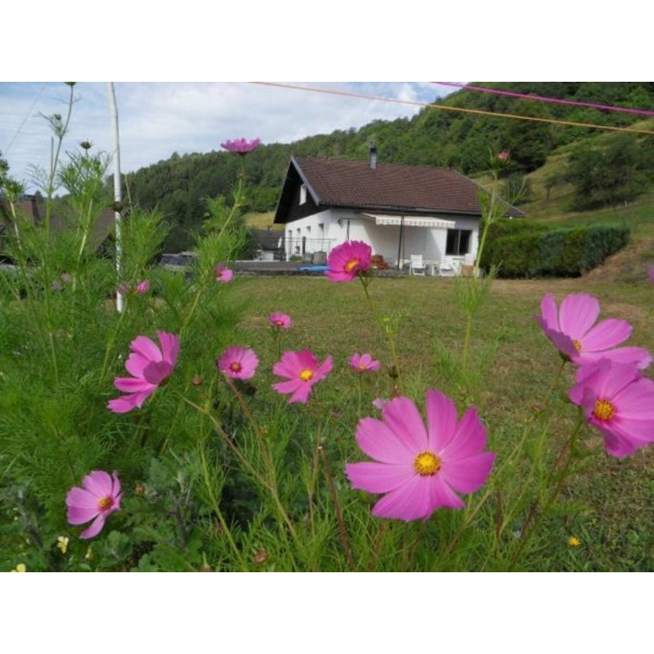 Ferienhaus in Vogesen ab 54€ pro Nacht