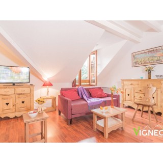 Ferienwohnung in Vignec ab 49€ pro Nacht