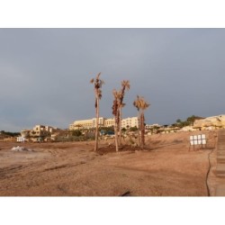 Dead Sea Spa Hotel