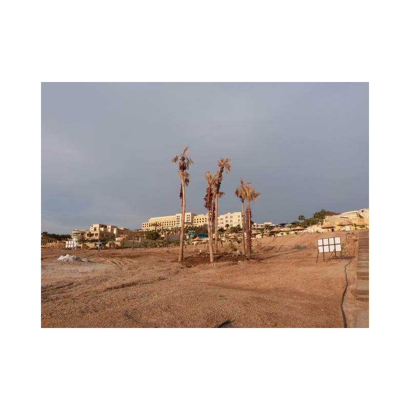 Dead Sea Spa Hotel