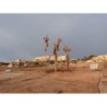 Dead Sea Spa Hotel