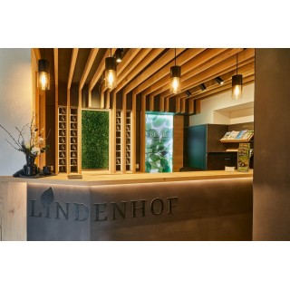 Passau erleben inkl. Schifffahrt auf der Donau & Stadtführung