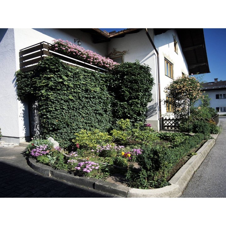 Ferienwohnung in Chiemsee ab 55€ pro Nacht