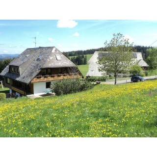 Ferienhaus in Oberrhein ab 54€ pro Nacht