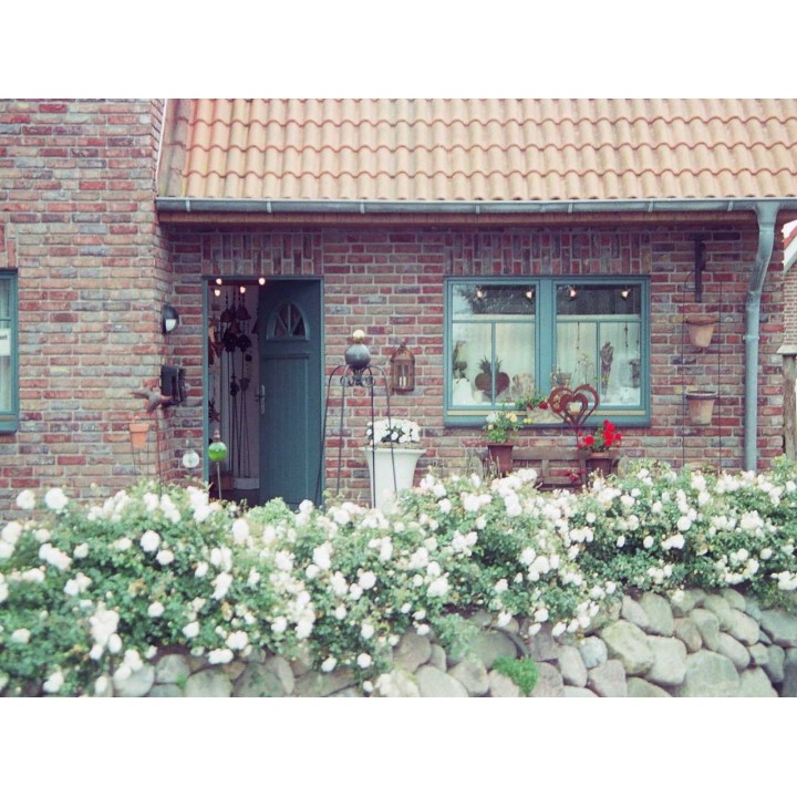 Ferienwohnung in Büsum ab 48€ pro Nacht