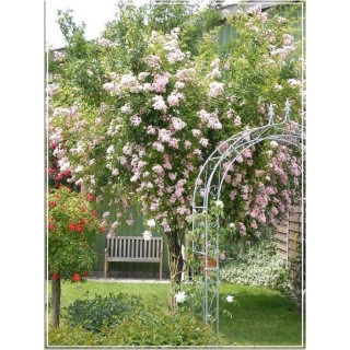 Ferienwohnung in Erfde ab 52€ pro Nacht