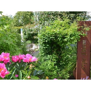 Ferienwohnung in Rhön ab 55€ pro Nacht