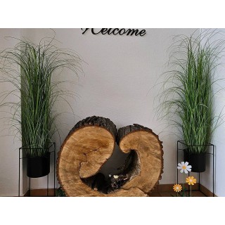 Ferienwohnung in Saalekreis ab 55€ pro Nacht