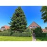 Ferienhaus in Moorweg ab 51€ pro Nacht
