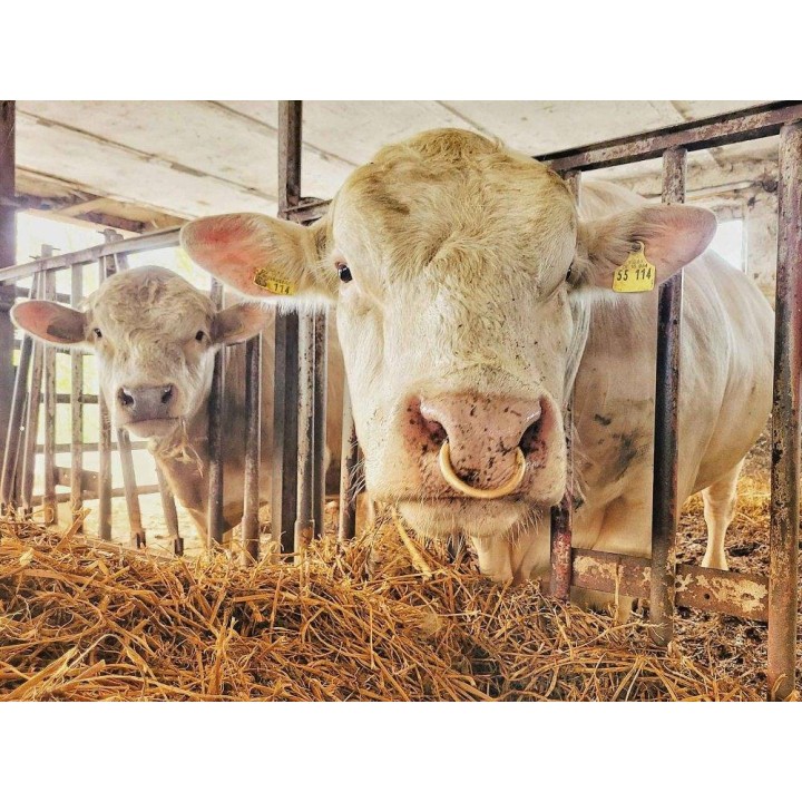 Ferienwohnung in Ostthüringen ab 34€ pro Nacht