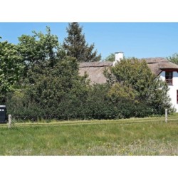 Ferienhaus in Nordwestjütland ab 42€ pro Nacht