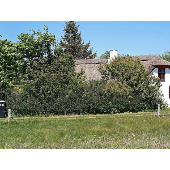 Ferienhaus in Nordwestjütland ab 42€ pro Nacht